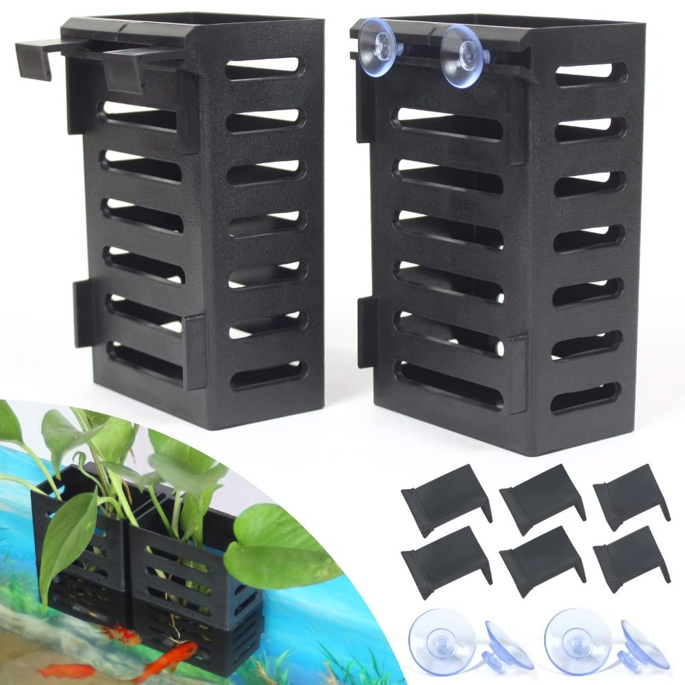 Emersed Plants Aquarium - พืชน้ำกระถางแก้วสำหรับปลูกต้นไม้ที่ตั้งต้นไม้ไฮโดรโพนิก