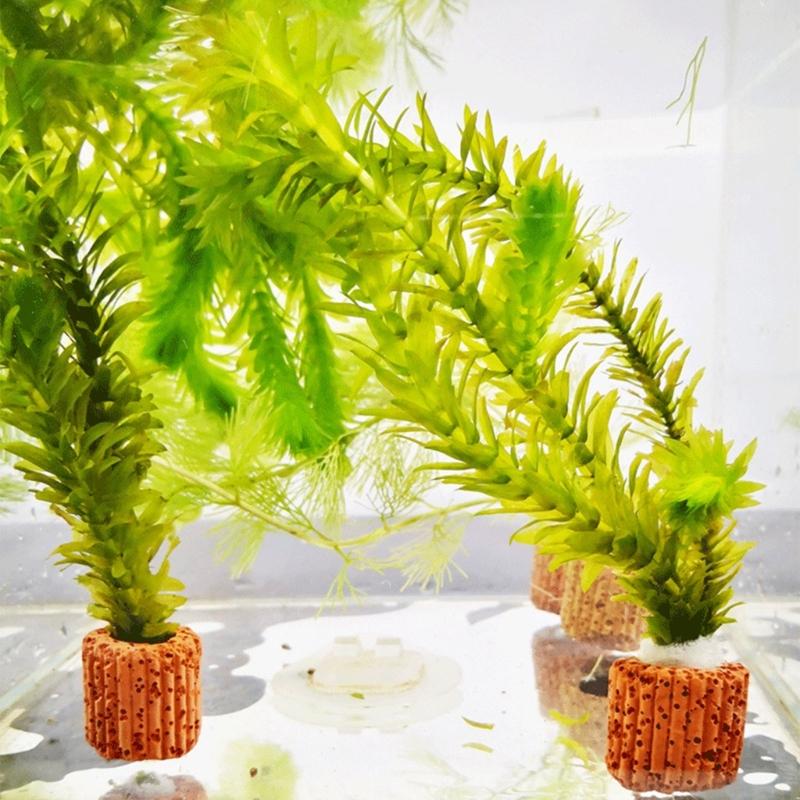 Emersed Plants Aquarium - QX2E ตู้ปลาผู้ถือ Anchors สำหรับพืช Aquaponic Plant