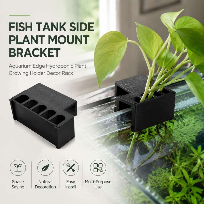 Aquarium Plant Diseases - ที่ยึดต้นไม้ข้างตู้ปลา ชั้นวางตกแต่งสำหรับปลูกพืชแบบไฮโดรโปนิกส์