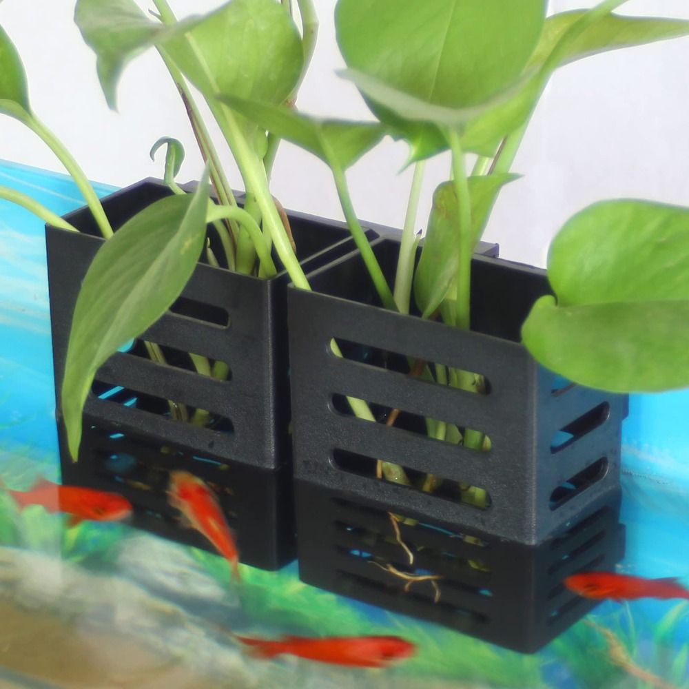 Emersed Plants Aquarium - ไฮโดรโปนิกส์ที่ตั้งต้นไม้น้ำสำหรับตู้ปลากระถางแก้วสำหรับจัดสวน
