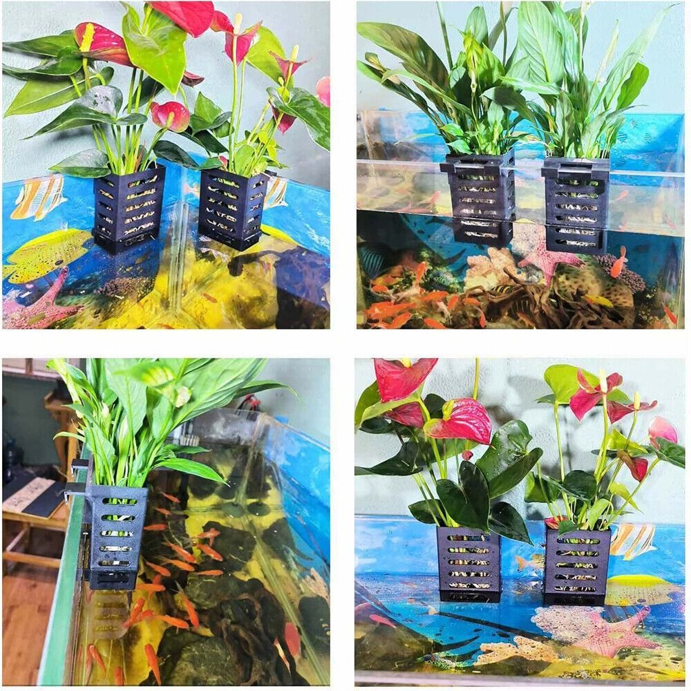 Emersed Plants Aquarium - ชั้นวางต้นไม้ในตู้ปลา สำหรับปลูกพืชน้ำแบบไฮโดรโปนิกส์ กระถางแก้วสำหรับจัดสวนในตู้ปลา