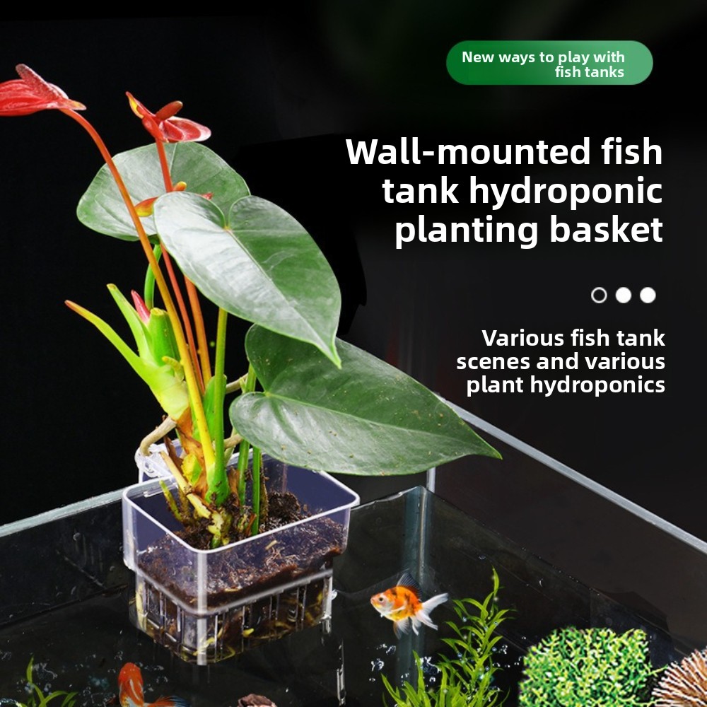 Aquarium Plant Grass - ตะกร้าปลูกพืชไฮโดรโปนิกส์ในตู้ปลา ถ้วยปลูกหญ้าน้ำ ตกแต่งตู้ปลา ของตกแต่งตู้ปลา ผลิตภัณฑ์สำหรับตู้ปลา กระถางปลูกต้นไม้