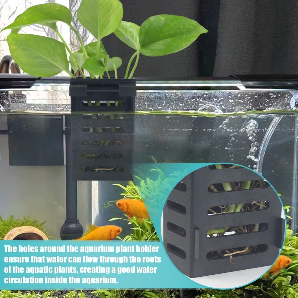 ที่ตั้งต้นไม้ถังเลี้ยงปลาพร้อม - Emersed Plants Aquarium บทวิจารณ์และราคา
