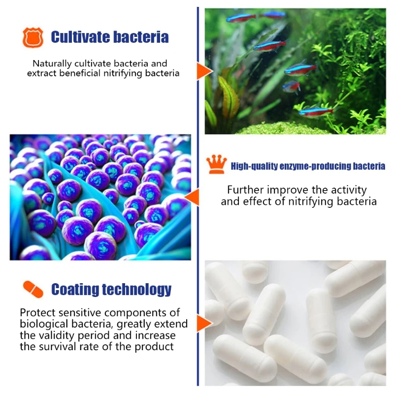 50 ชิ้น/ขวด Aquarium ถัง Nitri - Aquarium Plant Nutrients บทวิจารณ์และราคา