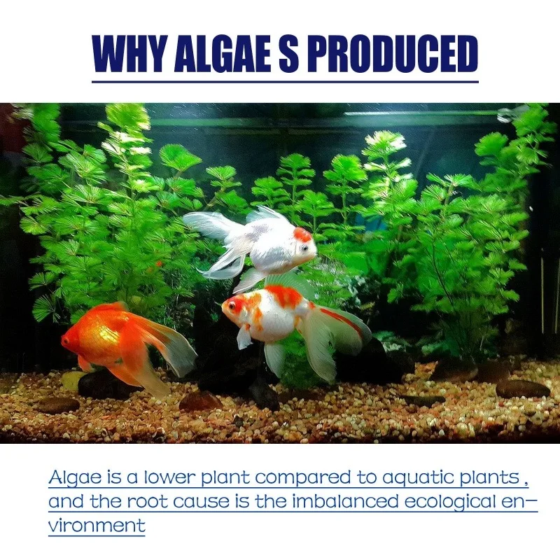 สารกำจัดสาหร่ายประสิทธิภาพสูง  - Planted Aquarium Algae Control บทวิจารณ์และราคา