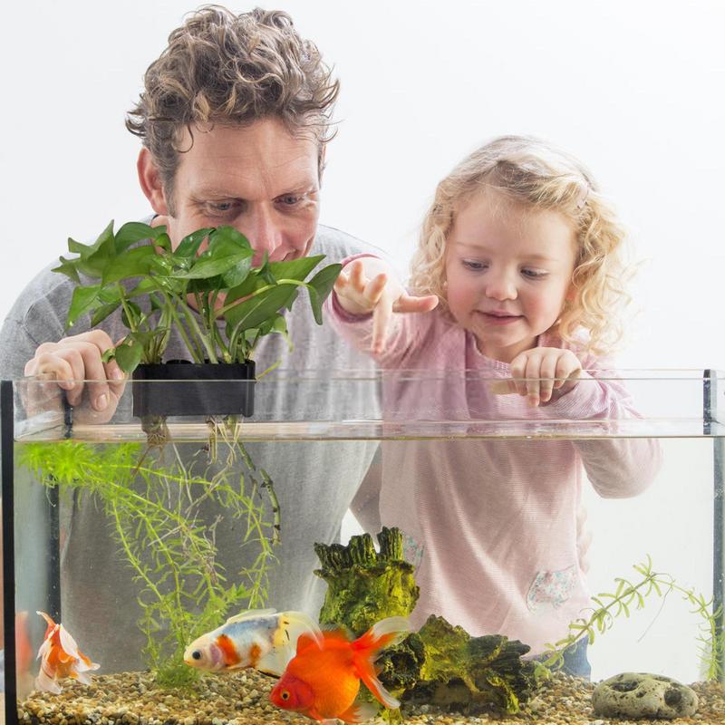 ที่แขวนสำหรับที่ตั้งต้นไม้ตู้ป - Emersed Plants Aquarium บทวิจารณ์และราคา