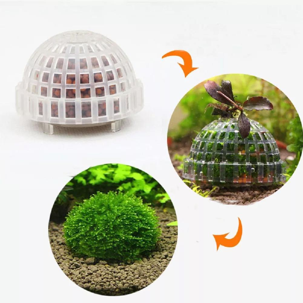 ที่วางมอสบอลสำหรับตู้ปลา 1 ชิ้ - Planted Aquarium Models บทวิจารณ์และราคา
