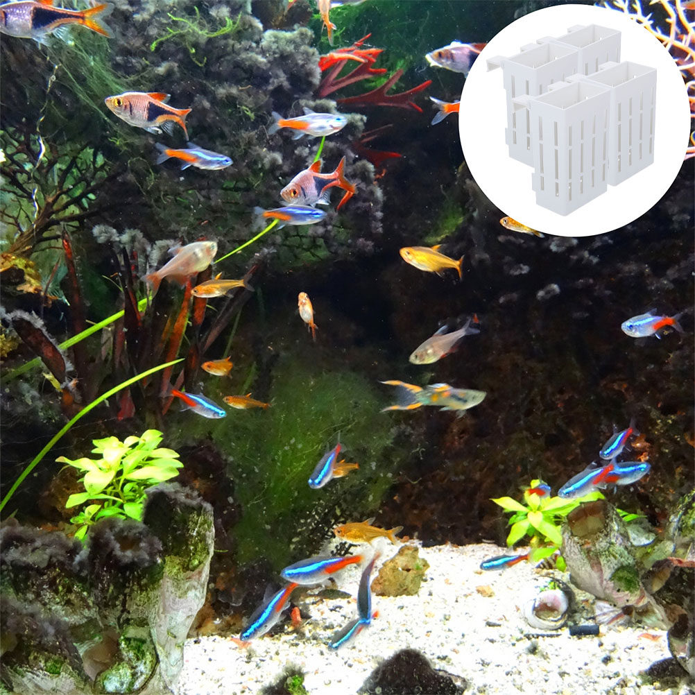 ตะกร้าแขวนสำหรับปลูกพืชน้ำ 4 ช - Aquarium Plant Nutrients บทวิจารณ์และราคา