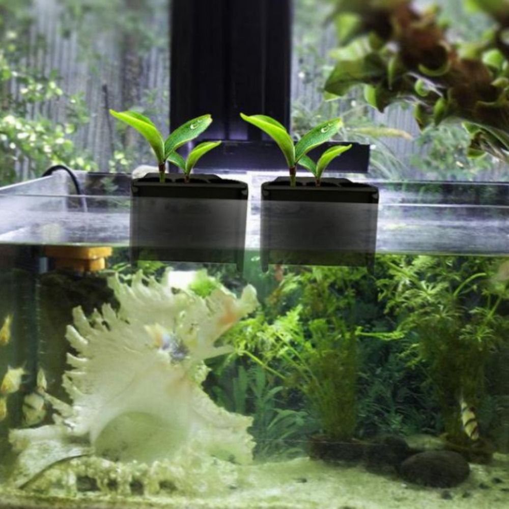 กระถางปลูกต้นไม้น้ำแบบแขวนพลาส - Emersed Plants Aquarium บทวิจารณ์และราคา