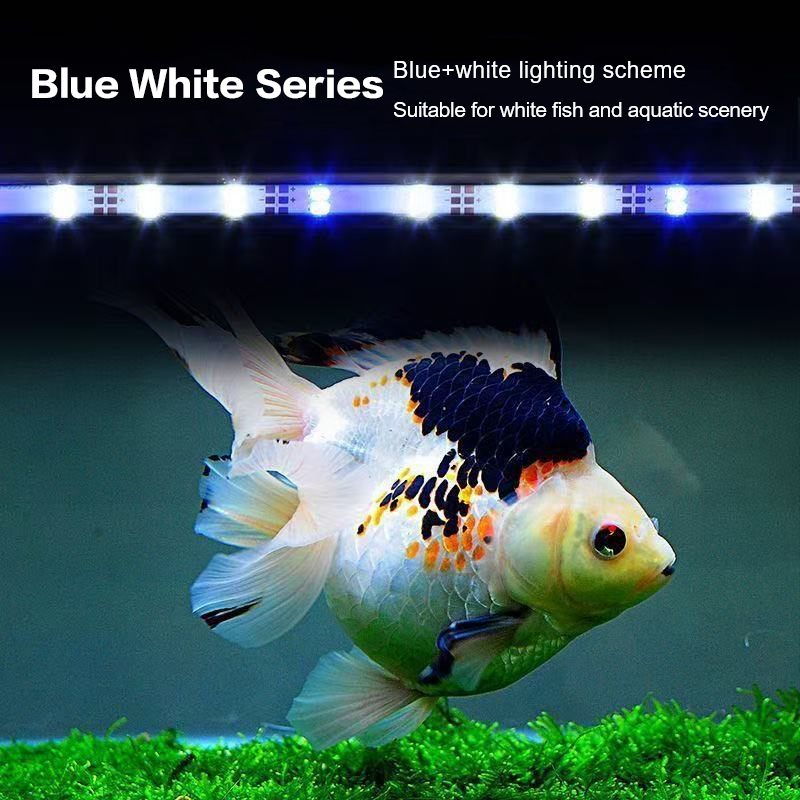 ไฟ LED สำหรับตู้ปลาแบบเสียบ US - Aquarium Plant Diseases บทวิจารณ์และราคา