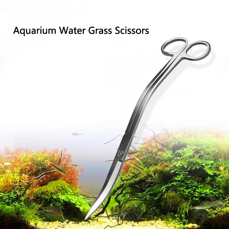 สแตนเลส24ซม.โค้ง Aquarium กรรไ - Aquarium Plant Grass บทวิจารณ์และราคา