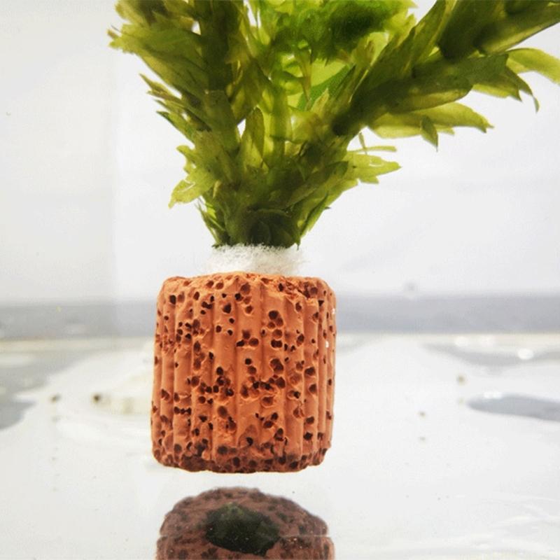 QX2E ตู้ปลาผู้ถือ Anchors สำหร - Emersed Plants Aquarium บทวิจารณ์และราคา