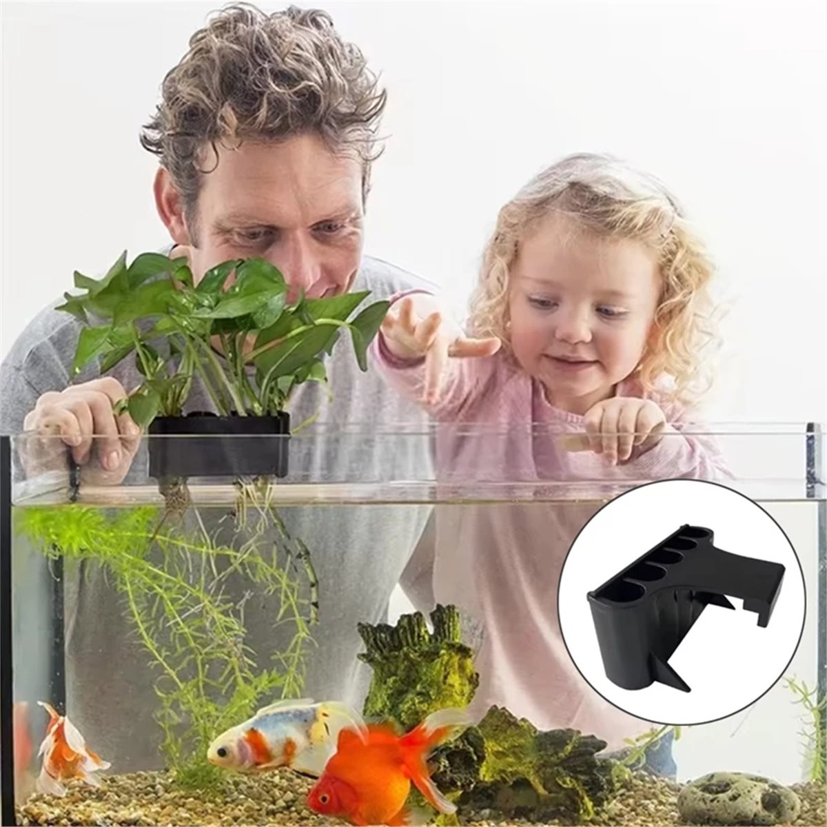 (ABAB) ที่แขวนต้นไม้ในตู้ปลา ถ - Emersed Plants Aquarium บทวิจารณ์และราคา
