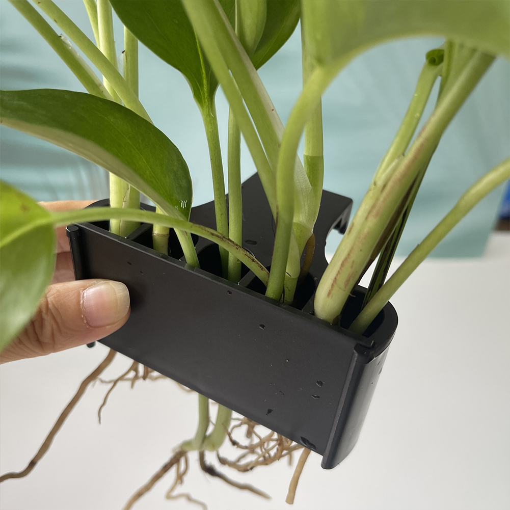 กระถางต้นไม้ที่ตั้งต้นไม้สำหรั - Emersed Plants Aquarium บทวิจารณ์และราคา