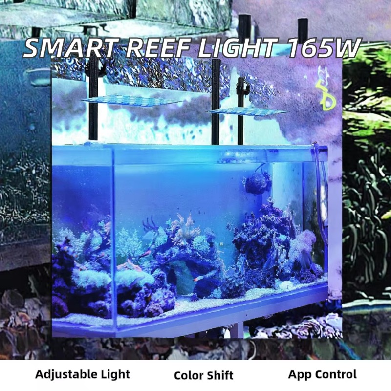 ไฟ LED สำหรับตู้ปลา 165W ปรับค - Planted Aquarium Models บทวิจารณ์และราคา