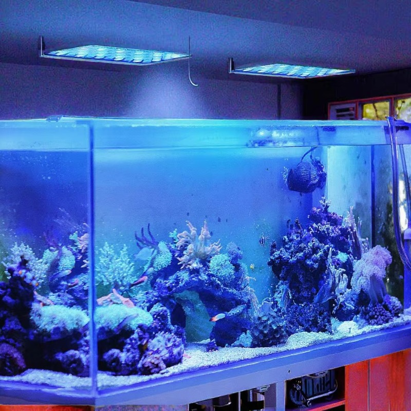 ไฟ LED สำหรับตู้ปลา 165W ปรับค - Planted Aquarium Models บทวิจารณ์และราคา