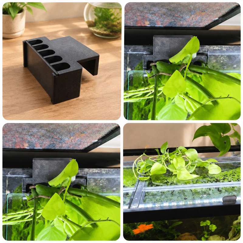 ที่ยึดต้นไม้ข้างตู้ปลา ชั้นวาง - Aquarium Plant Diseases บทวิจารณ์และราคา