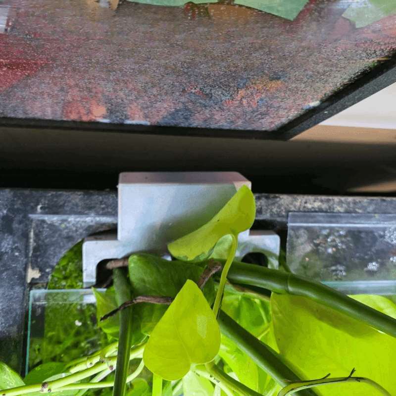 ที่ยึดต้นไม้ข้างตู้ปลา ชั้นวาง - Aquarium Plant Diseases บทวิจารณ์และราคา