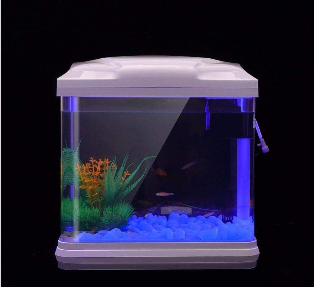 ถังปลา Rocks Glow Blue Pebbles - Planted Aquarium Supplies บทวิจารณ์และราคา