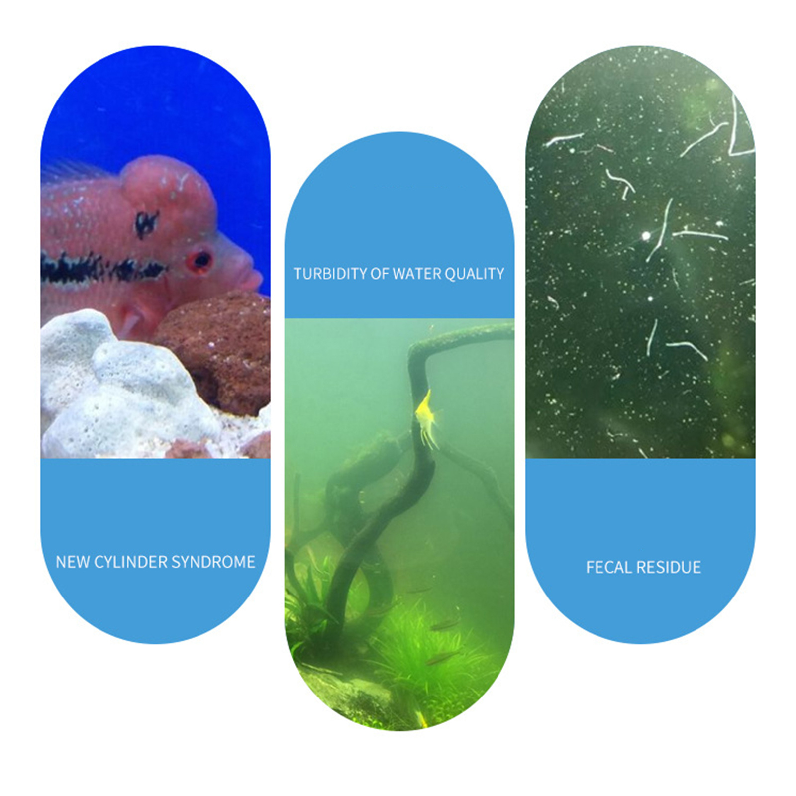 ผงไบโอฟิลเตอร์สำหรับตู้ปลา นิต - Aquarium Plant Nutrients บทวิจารณ์และราคา