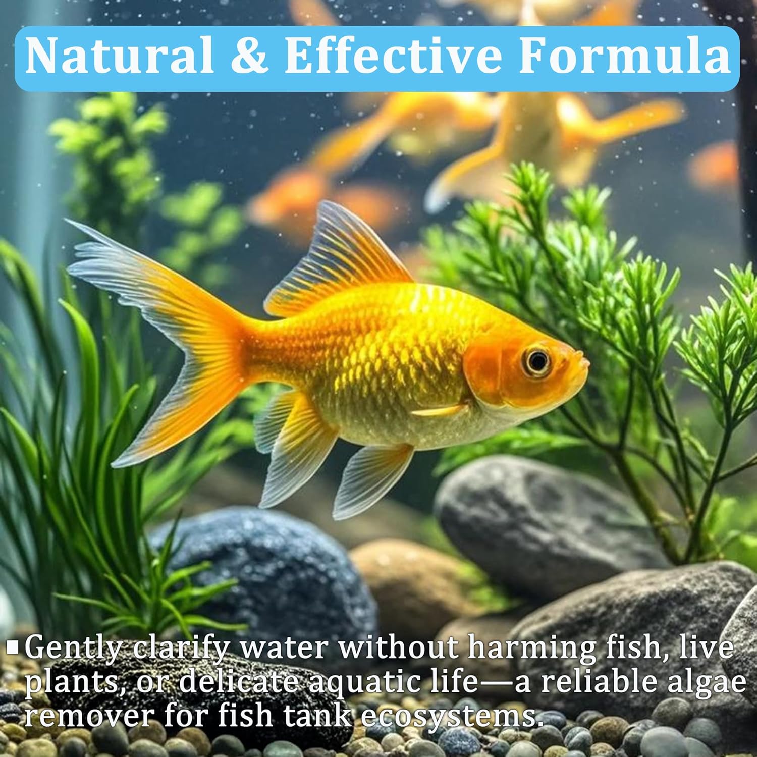 แท็บเล็ตทำน้ำใสสำหรับตู้ปลา ช่ - Aquarium Plant Nutrients บทวิจารณ์และราคา