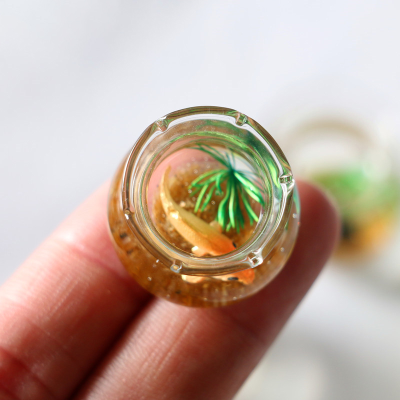 บ้านตุ๊กตาขนาดเล็ก1ชิ้น1:12จำล - Planted Aquarium Models บทวิจารณ์และราคา
