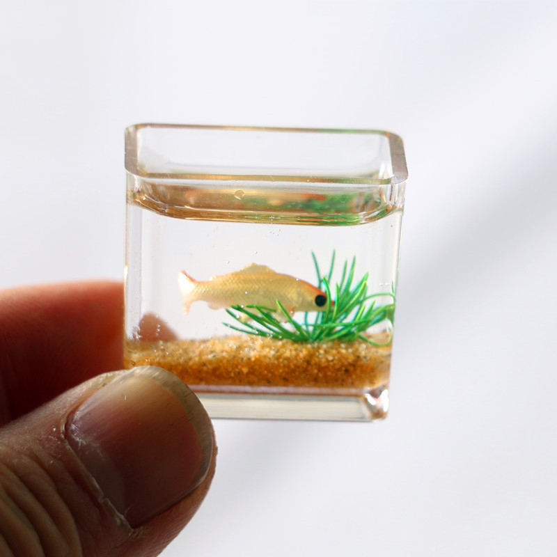 บ้านตุ๊กตาขนาดเล็ก1ชิ้น1:12จำล - Planted Aquarium Models บทวิจารณ์และราคา
