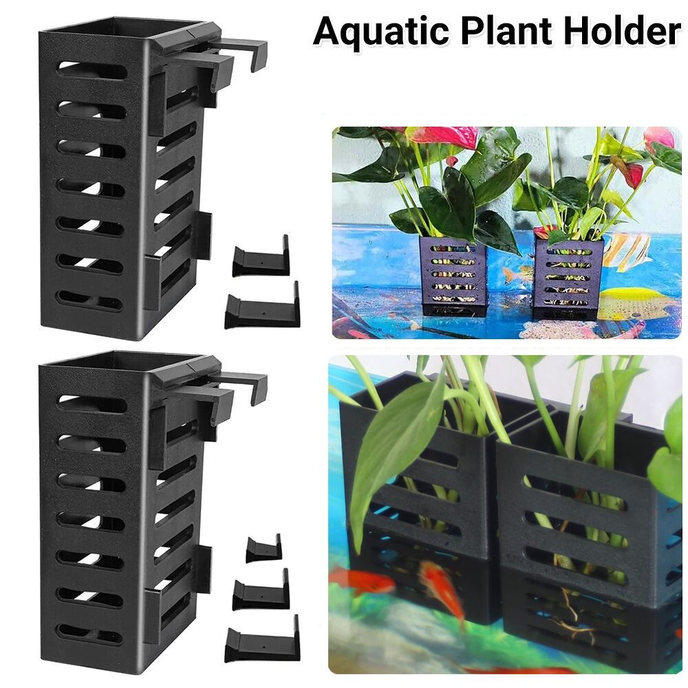 กระถางแก้วปลูกต้นไม้ในตู้ปลาแบ - Emersed Plants Aquarium บทวิจารณ์และราคา