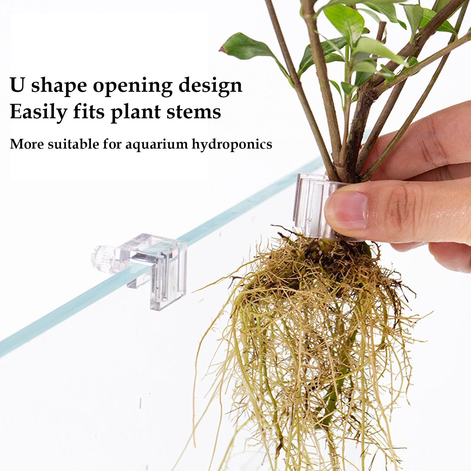 ที่แขวนต้นไม้ในตู้ปลา 6 ชิ้น ถ - Aquarium Plant Diseases บทวิจารณ์และราคา