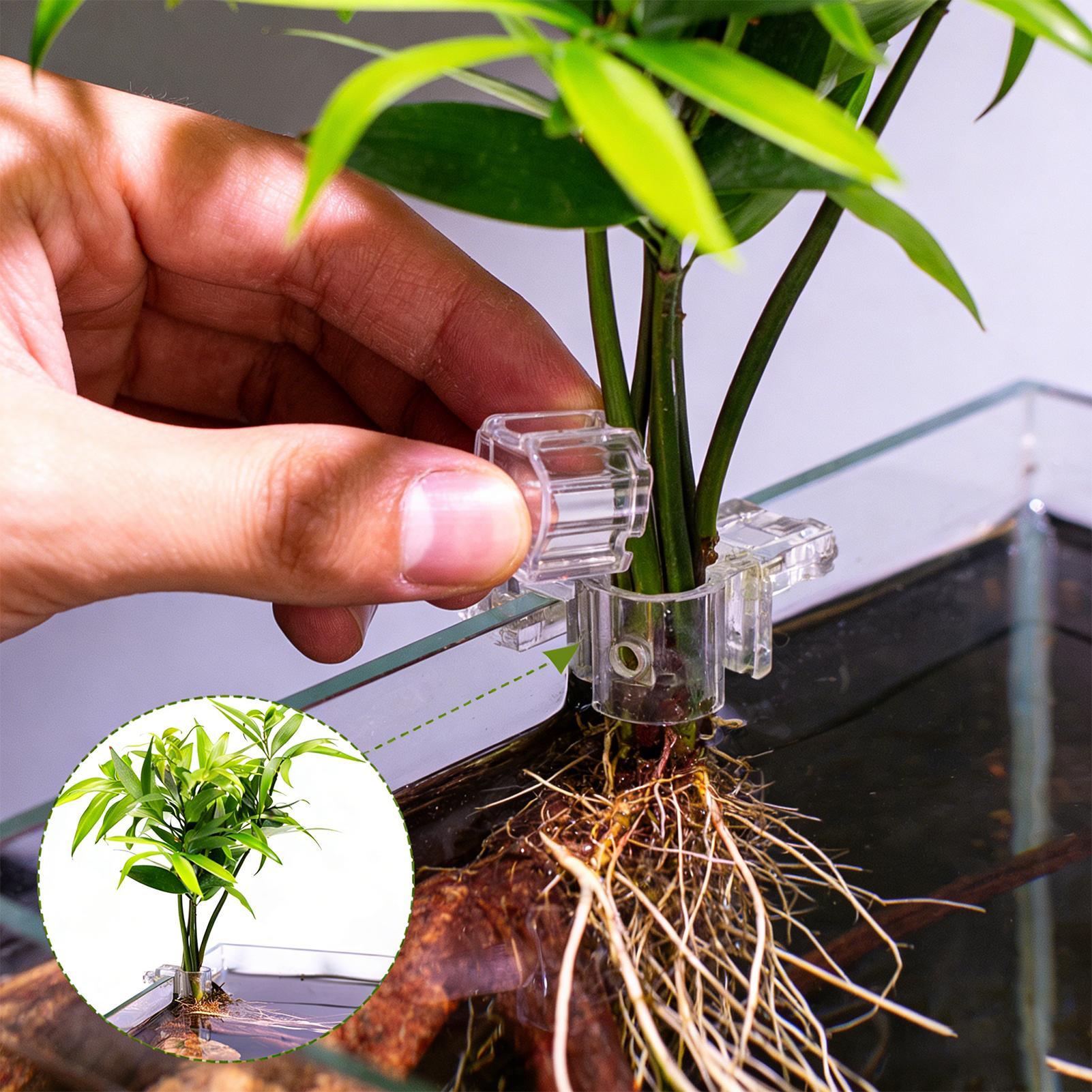 ที่แขวนต้นไม้ในตู้ปลา 6 ชิ้น ถ - Aquarium Plant Diseases บทวิจารณ์และราคา