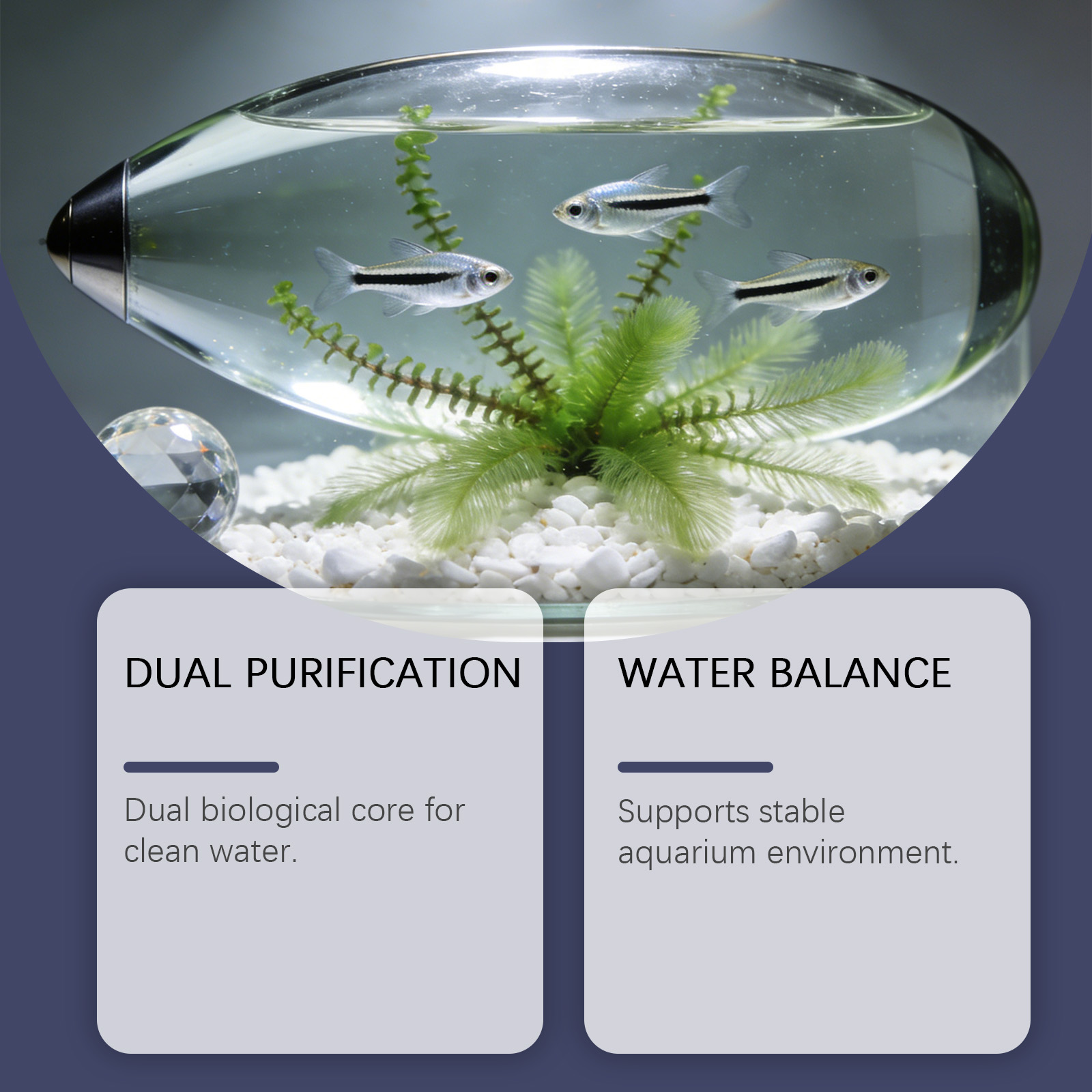 เม็ดกำจัดตะไคร่น้ำสำหรับตู้ปลา - Planted Aquarium Algae Control บทวิจารณ์และราคา