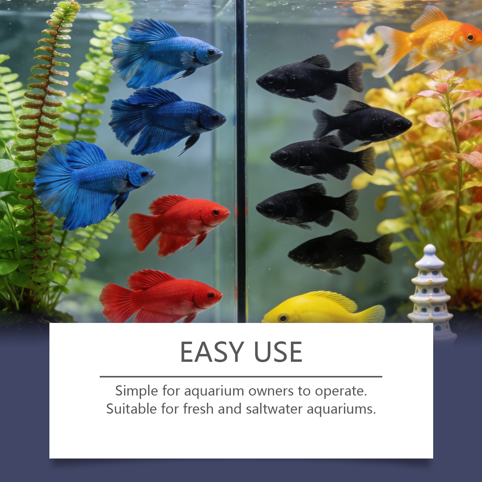 เม็ดกำจัดตะไคร่น้ำสำหรับตู้ปลา - Planted Aquarium Algae Control บทวิจารณ์และราคา
