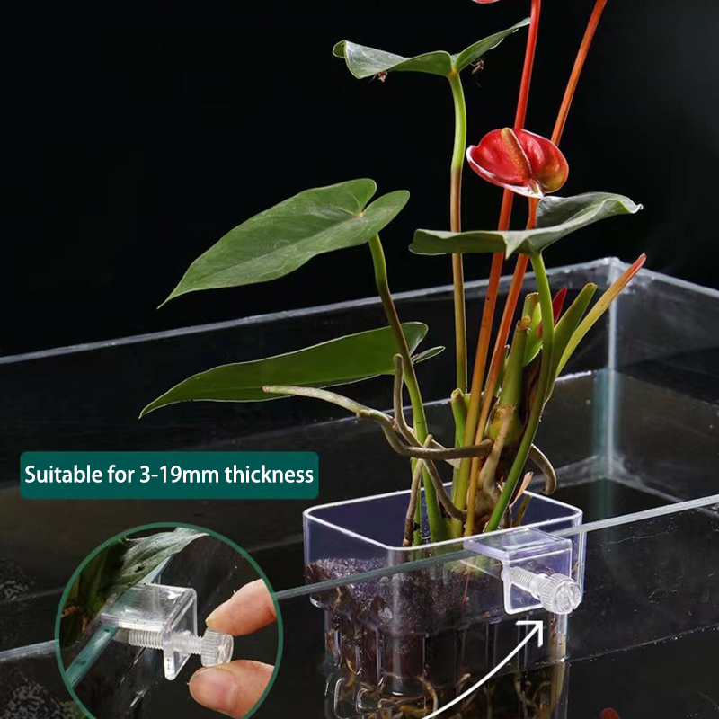ถ้วยปลูกหญ้าน้ำพิพิธภัณฑ์สัตว์ - Aquarium Plant Grass บทวิจารณ์และราคา