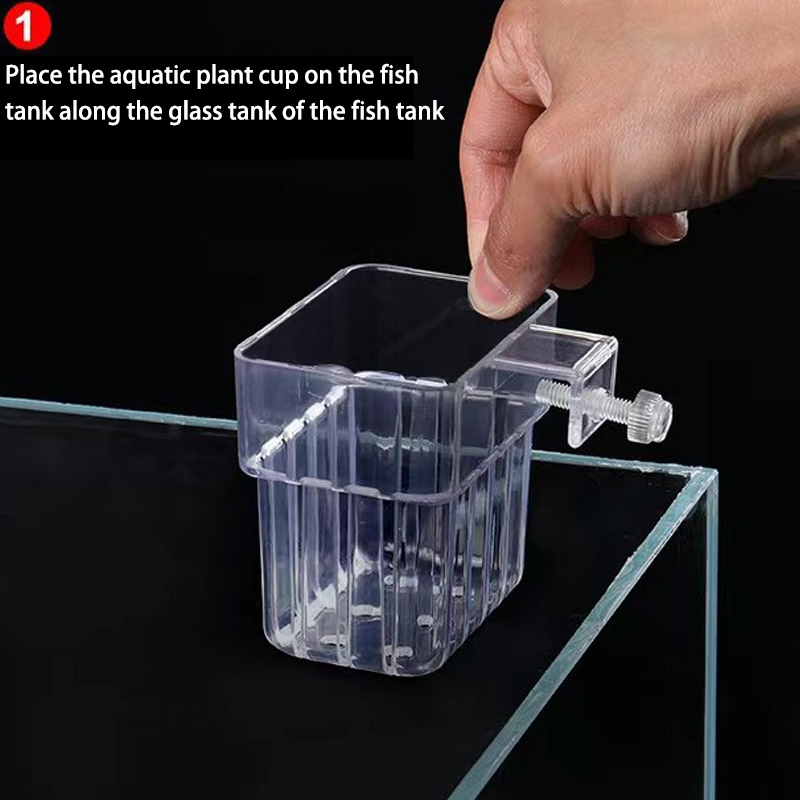 ถ้วยปลูกหญ้าน้ำพิพิธภัณฑ์สัตว์ - Aquarium Plant Grass บทวิจารณ์และราคา