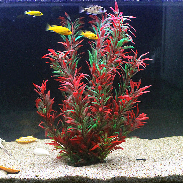 50 ซม.ถังปลาประดิษฐ์พืชหายากAq - Planted Aquarium Supplies บทวิจารณ์และราคา