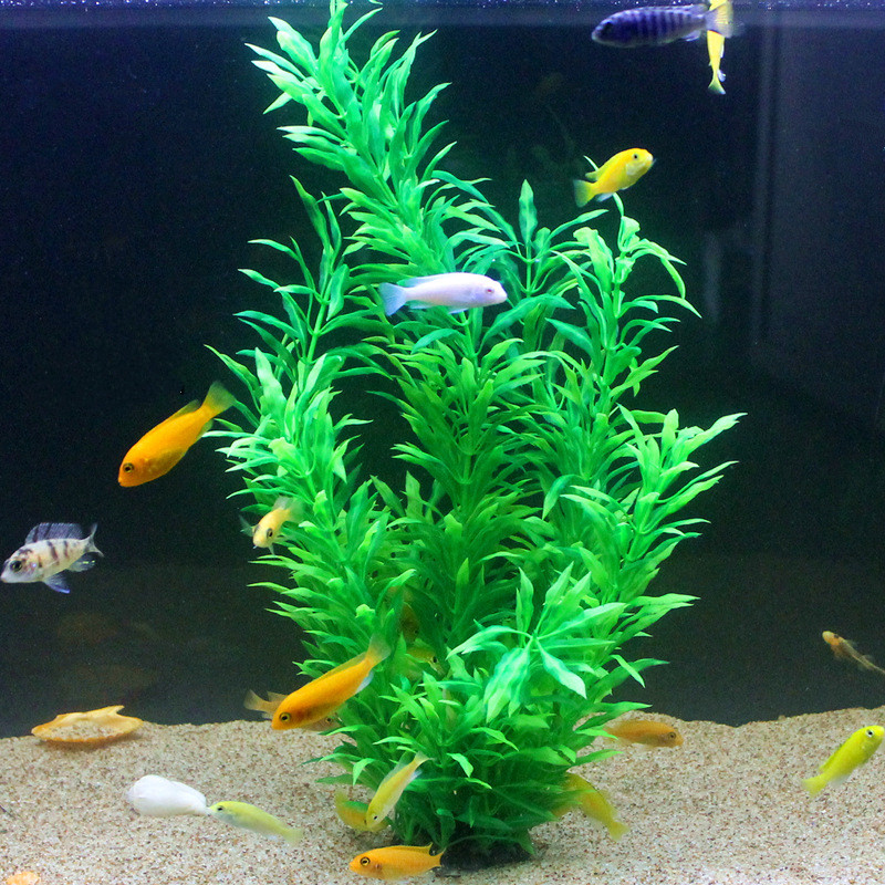 50 ซม.ถังปลาประดิษฐ์พืชหายากAq - Planted Aquarium Supplies บทวิจารณ์และราคา