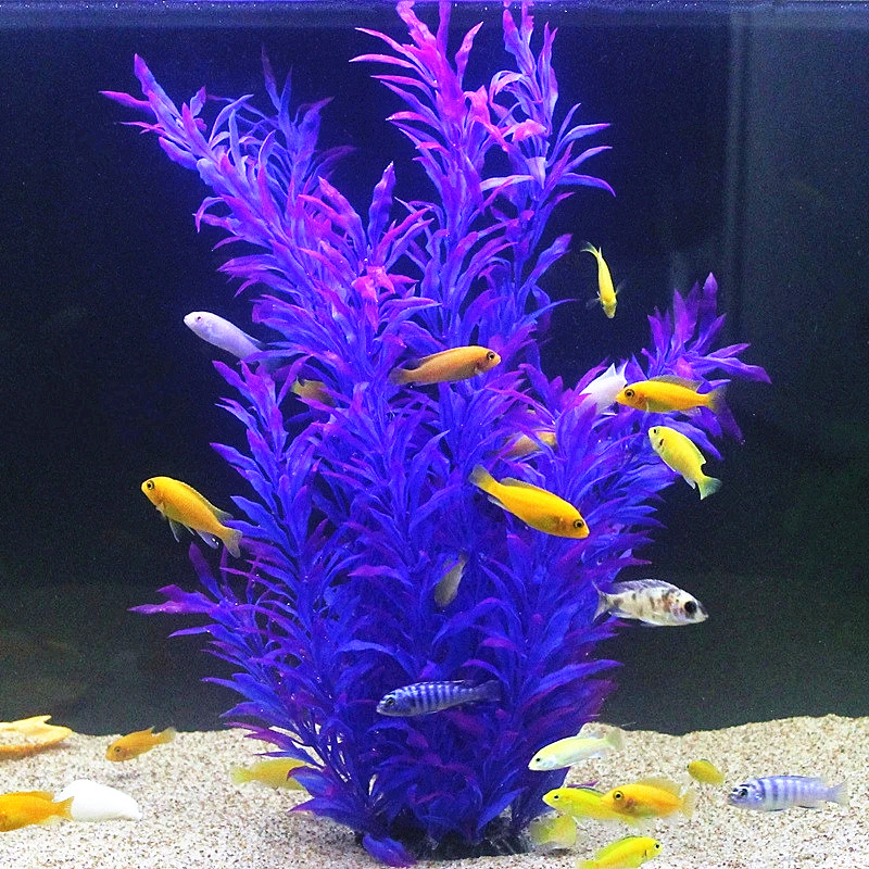 50 ซม.ถังปลาประดิษฐ์พืชหายากAq - Planted Aquarium Supplies บทวิจารณ์และราคา