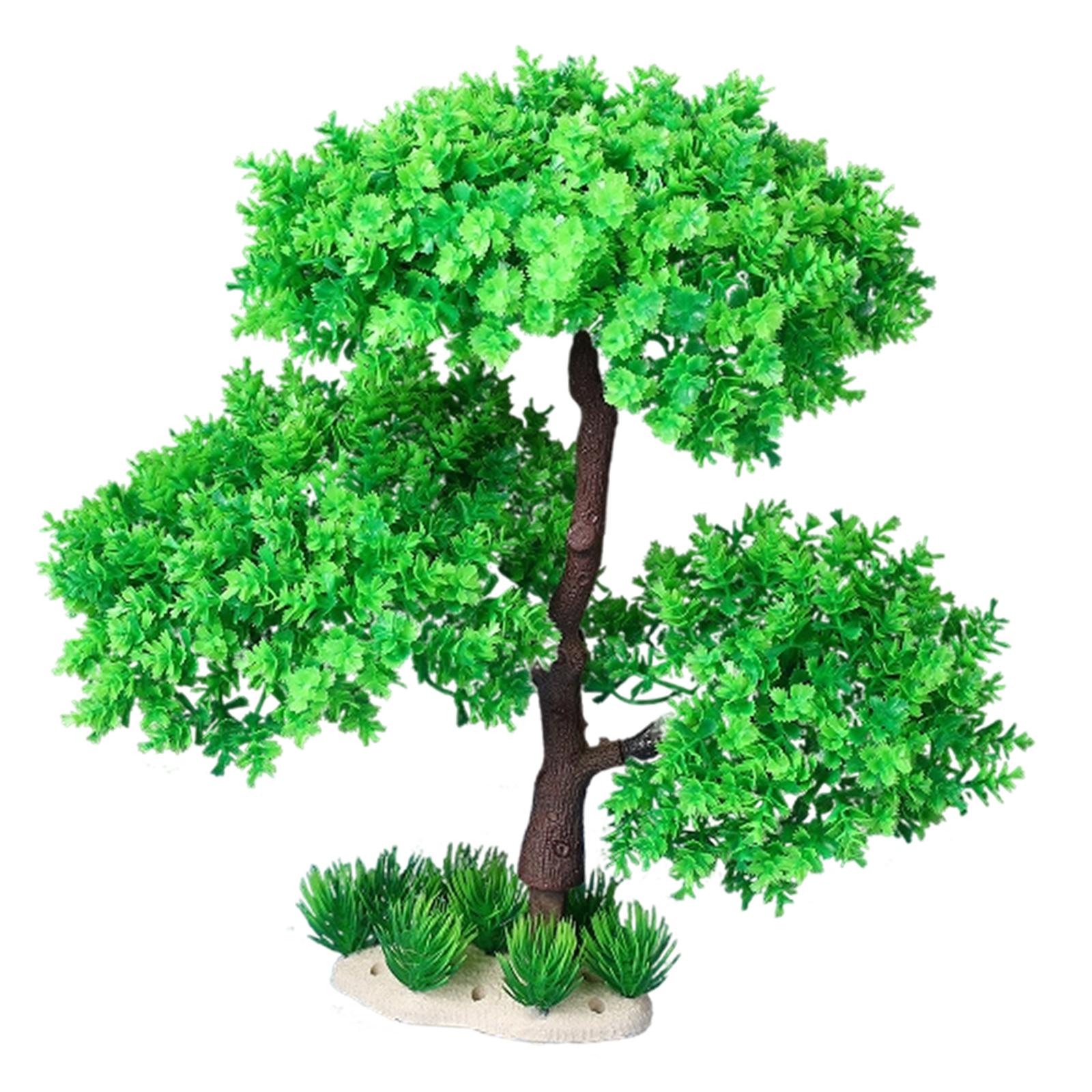 ต้นไม้ประดับตกแต่งตู้ปลา แบบจำ - Planted Aquarium Models บทวิจารณ์และราคา
