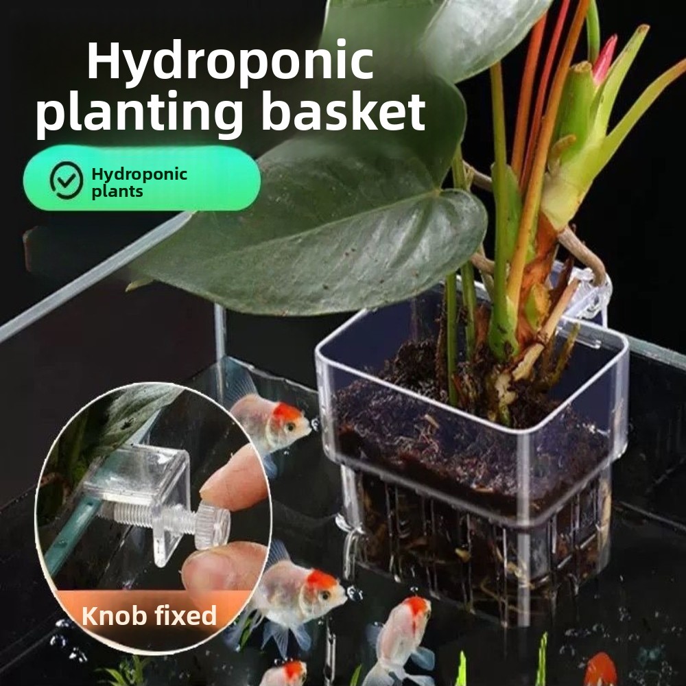ตะกร้าปลูกพืชไฮโดรโปนิกส์ในตู้ - Aquarium Plant Grass บทวิจารณ์และราคา