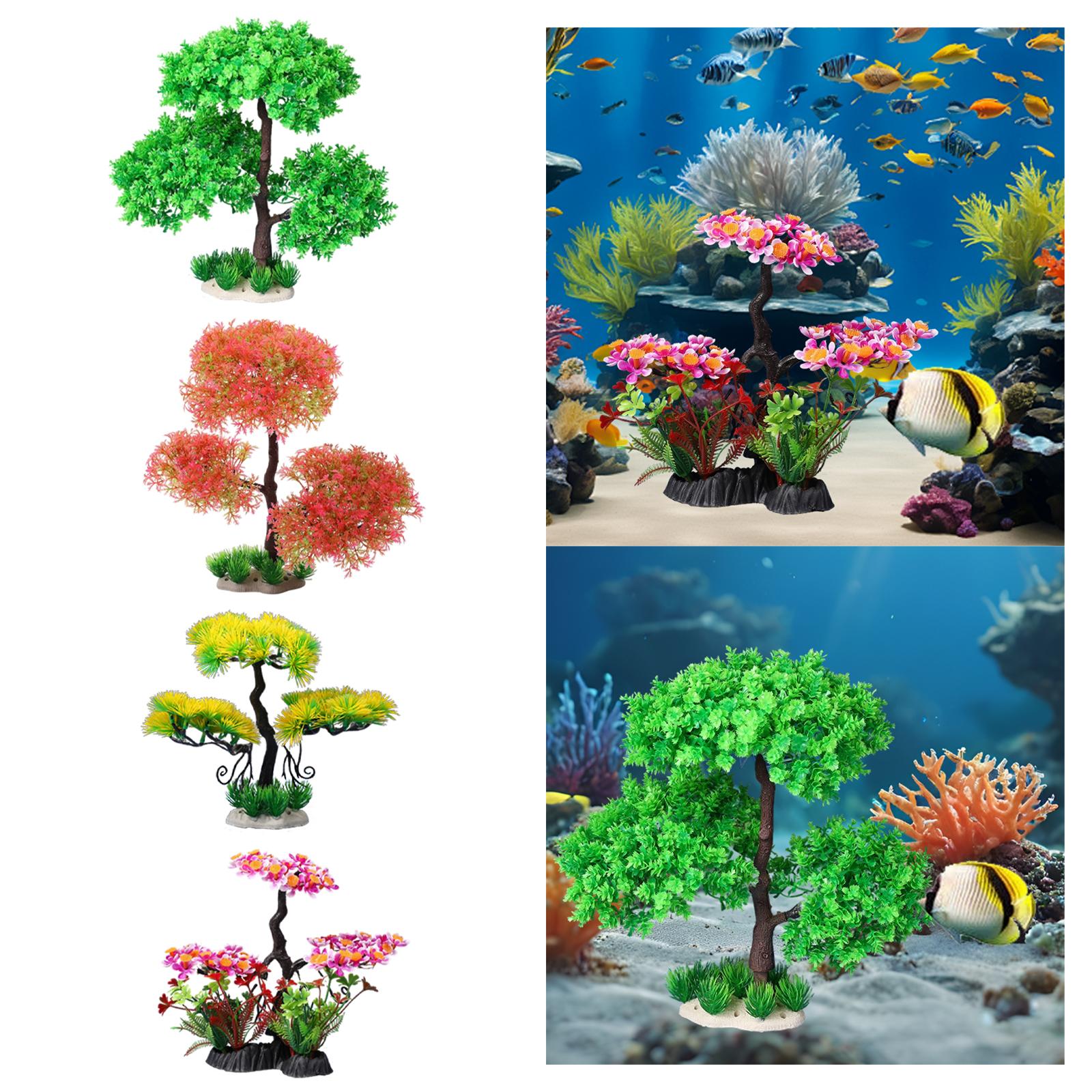 ต้นไม้ประดับตู้ปลาสำหรับน้ำจืด - Planted Aquarium Models บทวิจารณ์และราคา