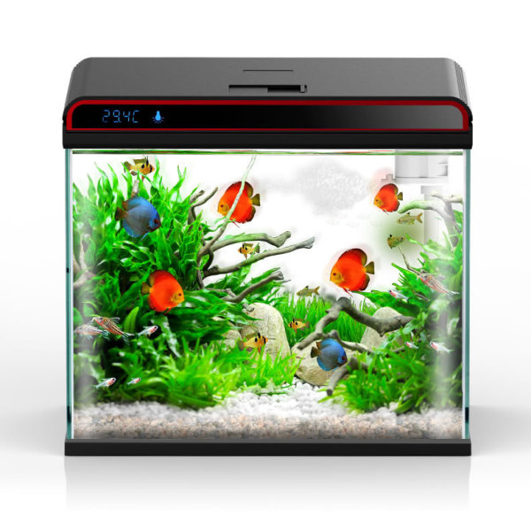 Sunsun 4-in-1 Aquarium Water C - Planted Aquarium Algae Control บทวิจารณ์และราคา