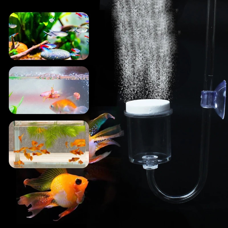 DIY ชุดกระจาย CO2 4ชิ้นสำหรับต - Planted Aquarium Supplies บทวิจารณ์และราคา