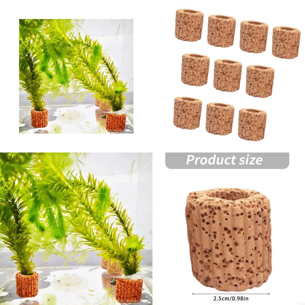 F19B พิพิธภัณฑ์สัตว์น้ำผู้ถือพ - Emersed Plants Aquarium บทวิจารณ์และราคา