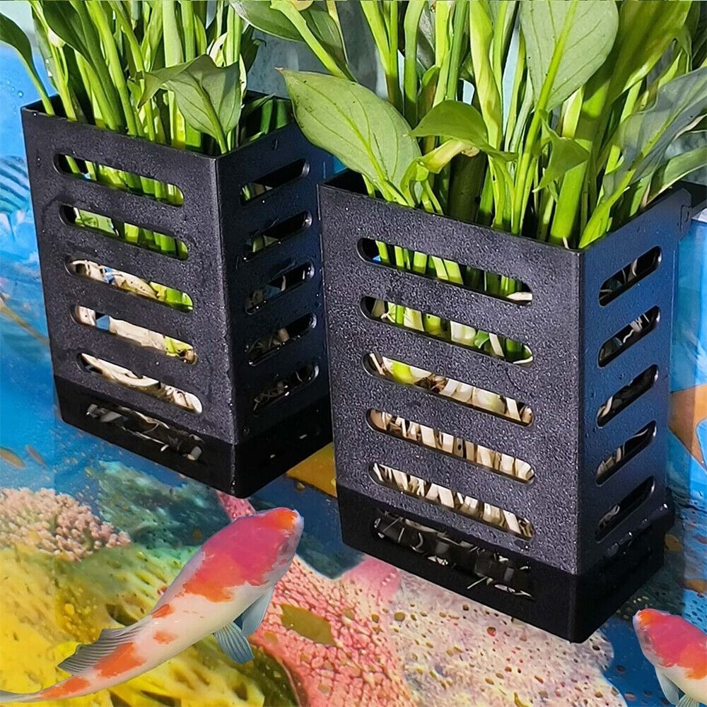 กระถางแก้วปลูกพืชน้ำสำหรับตู้ป - Emersed Plants Aquarium บทวิจารณ์และราคา
