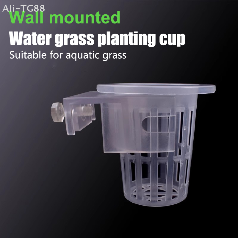ที่แขวนต้นไม้ในตู้ปลาแบบมีรู ก - Emersed Plants Aquarium บทวิจารณ์และราคา